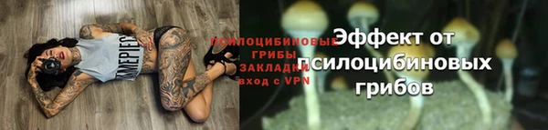 первитин Беломорск