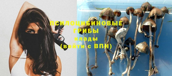 первитин Беломорск
