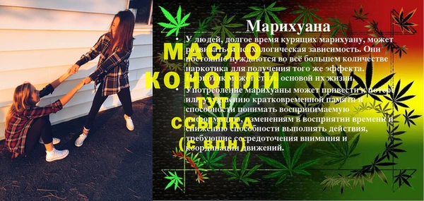 тгк Сатка